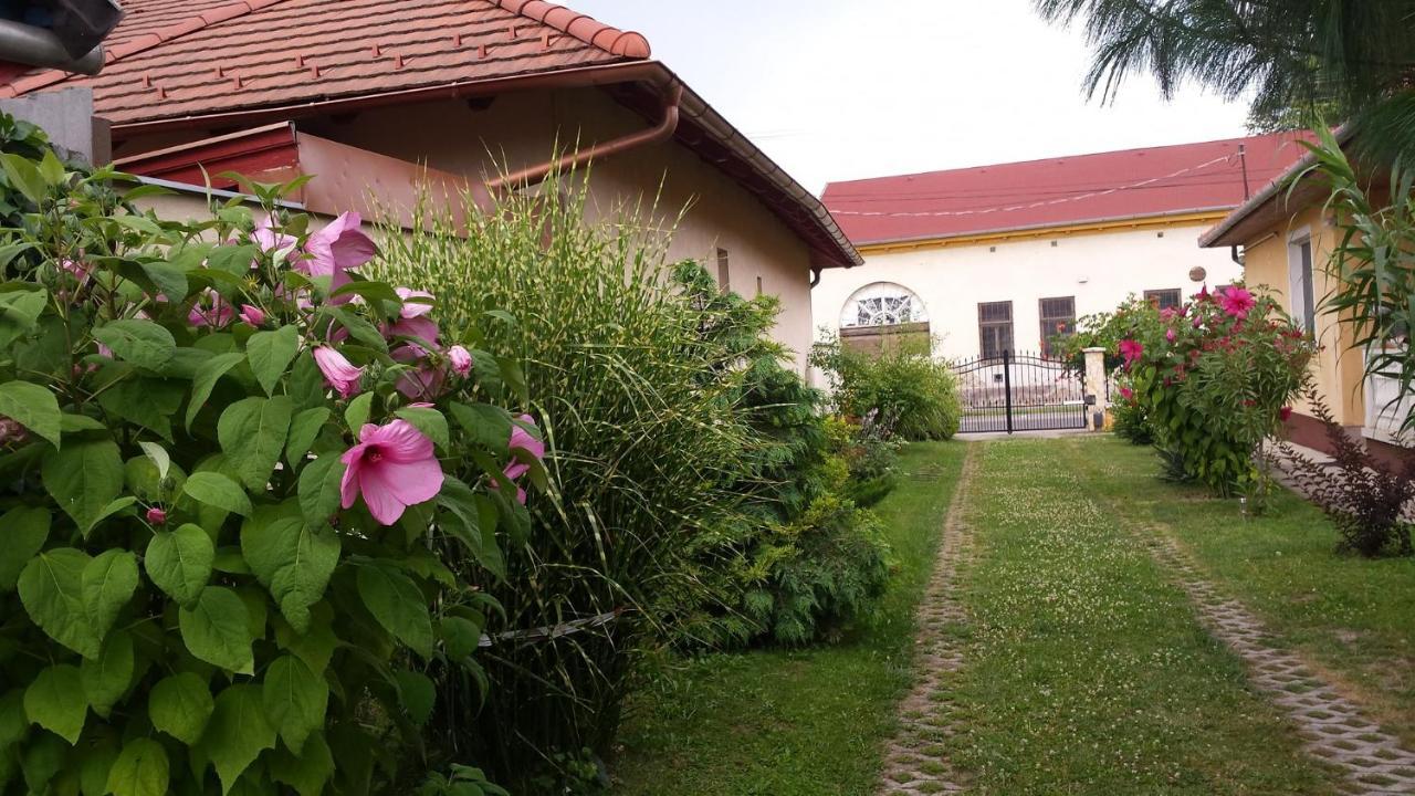 Eliza Vendeghaz Appartement Hajdúszoboszló Buitenkant foto